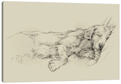 Dog Days III Canvas Art Print - Golden Retriever Art