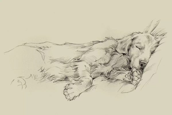 Kids Animal Art