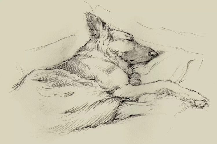 Dog Days IV by Ethan Harper wall art