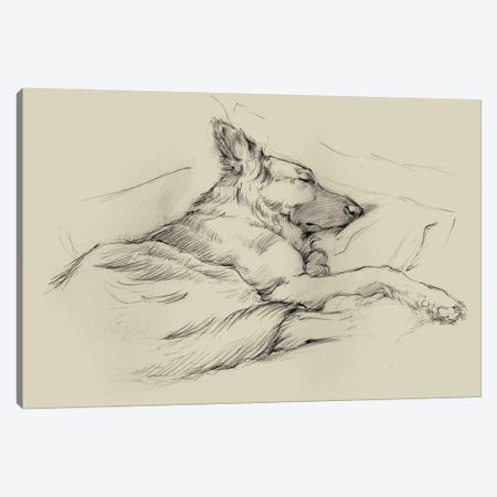 Dog Days IV Canvas Print #EHA203} by Ethan Harper Canvas Artwork