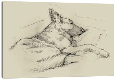 Dog Days IV Canvas Art Print - German Shepherd Art