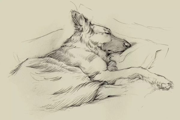 Kids Animal Art: Dog Days IV by Ethan Harper