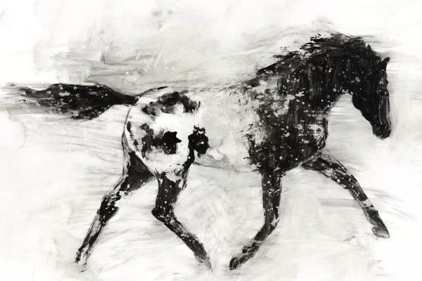 Horses: Rustic Appaloosa I by Ethan Harper