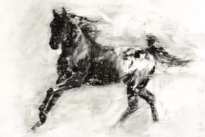 Rustic Appaloosa II by Ethan Harper gallery poster