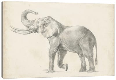 Elephant Sketch I Canvas Art Print - Wildlife Art