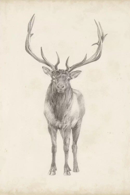 Elk Study