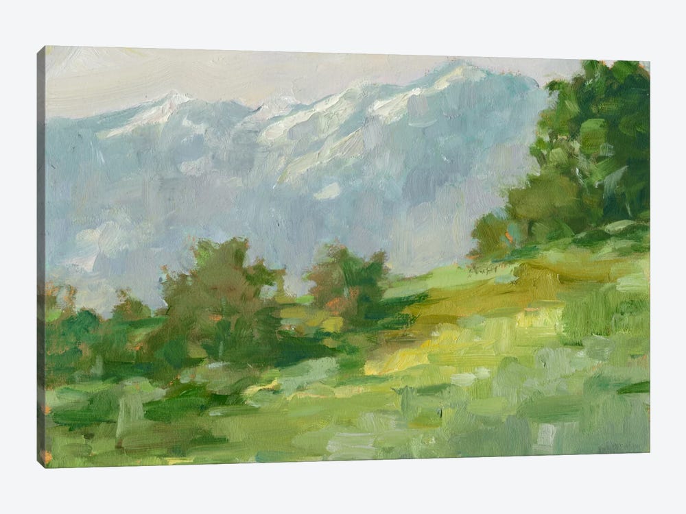 Mountain Backdrop I by Ethan Harper 1-piece Canvas Print