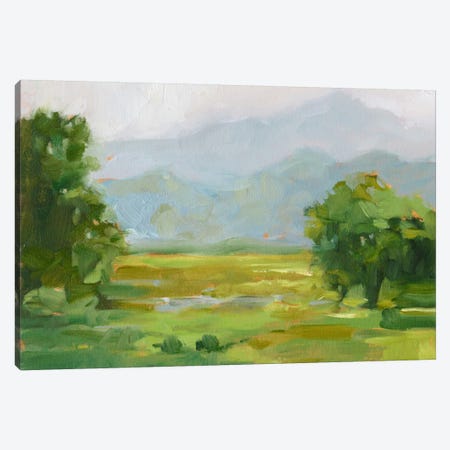 Mountain Backdrop III Canvas Print #EHA247} by Ethan Harper Canvas Art Print