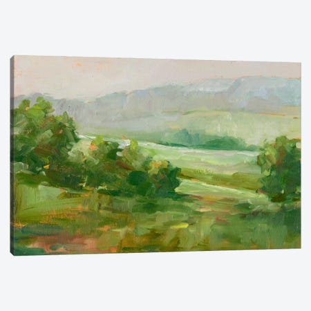 Mountain Backdrop IV Canvas Print #EHA248} by Ethan Harper Canvas Art