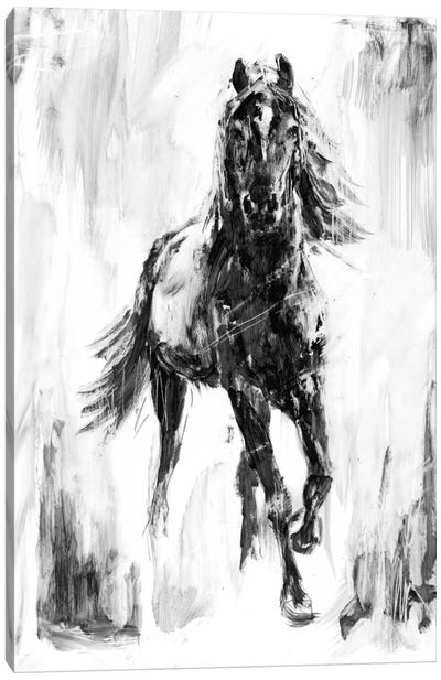 Rustic Stallion I Canvas Art Print - Horse Art