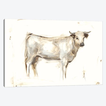 White Cattle I Canvas Print #EHA255} by Ethan Harper Canvas Artwork