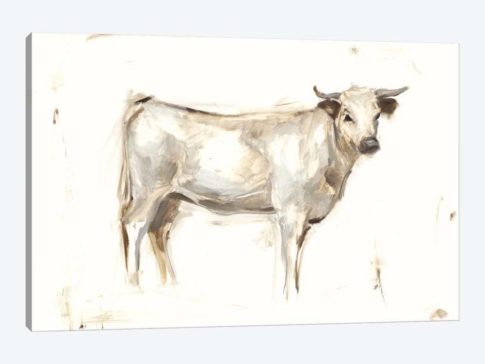 White Cattle I by Ethan Harper 1-piece Canvas Wall Art