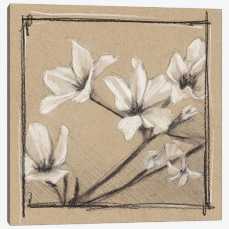 White Floral Study I Canvas Print #EHA257} by Ethan Harper Canvas Art