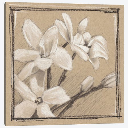 White Floral Study III Canvas Print #EHA259} by Ethan Harper Canvas Print