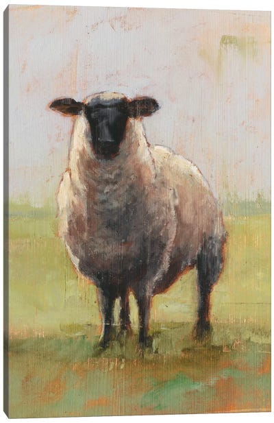 Away From The Flock I Canvas Art Print - Sheep Art