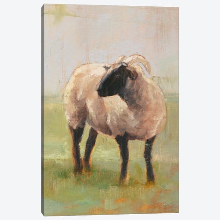 Away From The Flock II Canvas Print #EHA263} by Ethan Harper Canvas Art