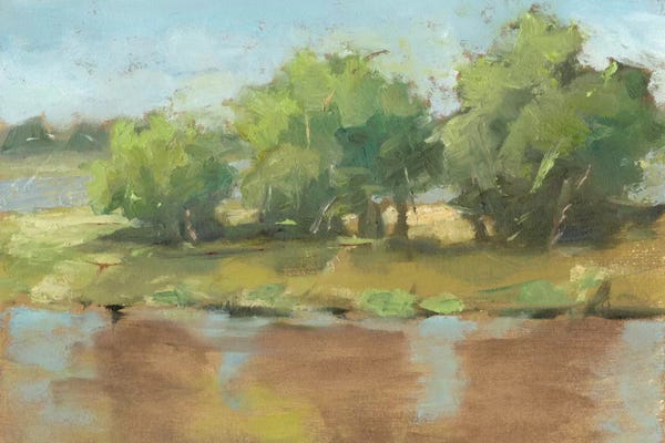 Muddy River II