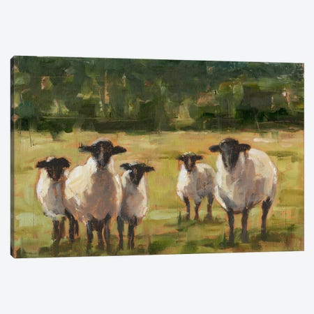 Sheep Family I Canvas Print #EHA282} by Ethan Harper Canvas Wall Art