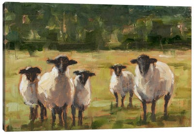 Sheep Family I Canvas Art Print - Large Art for Kitchen