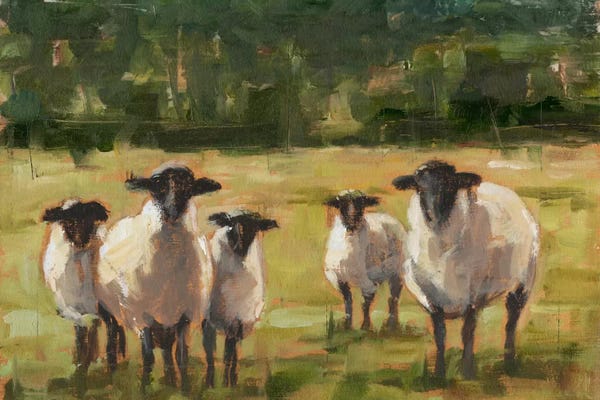 Sheep: Sheep Family I by Ethan Harper