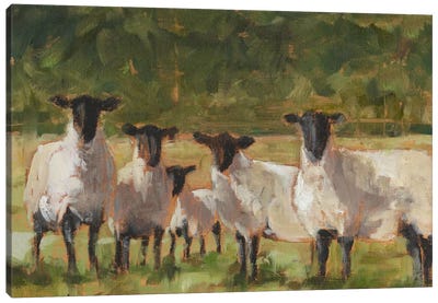 Sheep Family II Canvas Art Print - Large Art for Kitchen