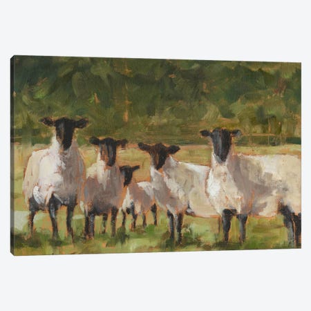 Sheep Family II Canvas Print #EHA283} by Ethan Harper Canvas Artwork