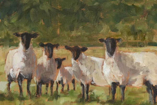 Sheep: Sheep Family II by Ethan Harper