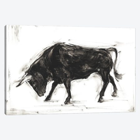 Toro I Canvas Print #EHA292} by Ethan Harper Canvas Print