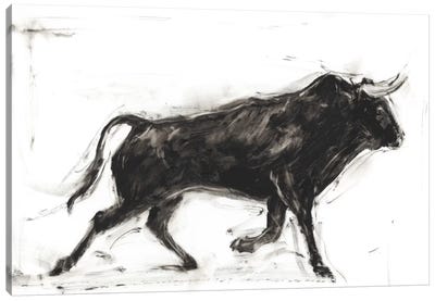 Toro II Canvas Art Print - Bull Art