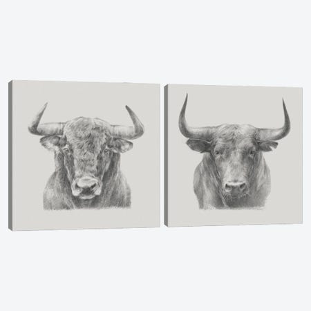 Bull Diptych Canvas Print Set #EHA2HSET007} by Ethan Harper Canvas Art Print