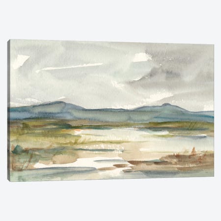 Overcast Wetland I Canvas Print #EHA314} by Ethan Harper Canvas Art Print