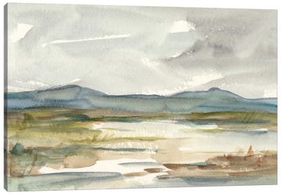 Overcast Wetland I Canvas Art Print - Ethan Harper
