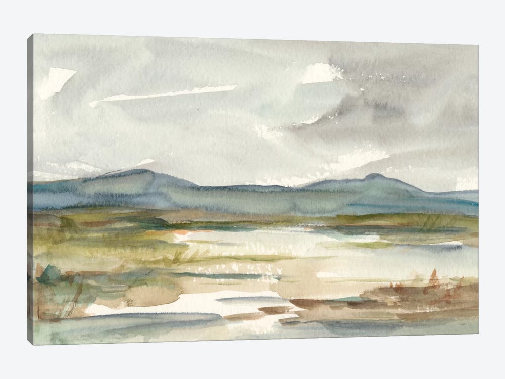 Overcast Wetland I by Ethan Harper 1-piece Canvas Art
