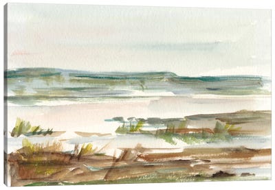 Overcast Wetland II Canvas Art Print - Ethan Harper