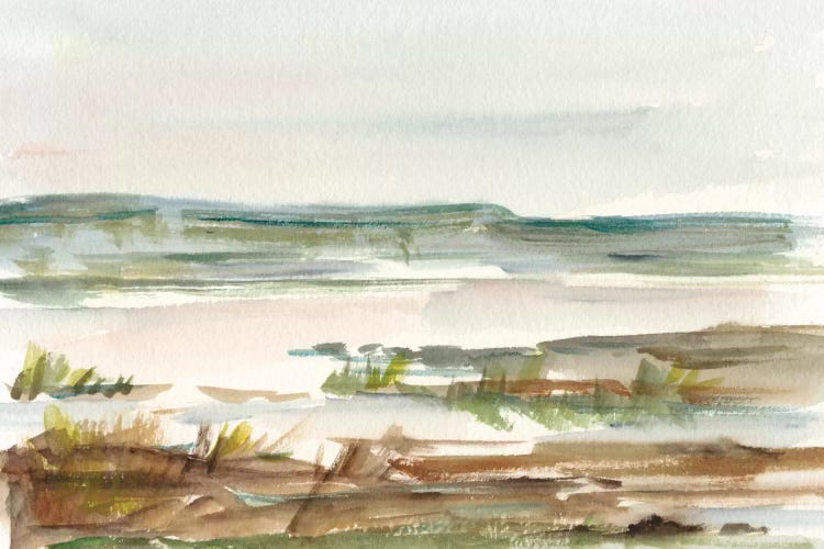Overcast Wetland II by Ethan Harper wall art
