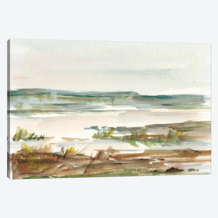Overcast Wetland II Canvas Print #EHA315} by Ethan Harper Canvas Art Print