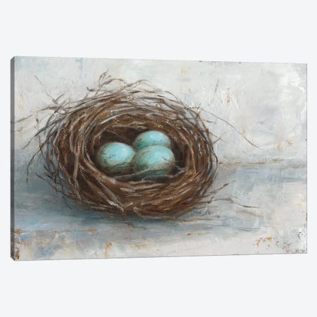 Rustic Bird Nest I Canvas Print #EHA322} by Ethan Harper Canvas Art Print
