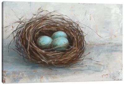 Rustic Bird Nest I Canvas Art Print - Large Art for Kitchen