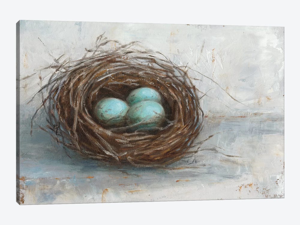 Rustic Bird Nest I by Ethan Harper 1-piece Canvas Art Print