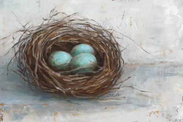 Large Art for Kitchen - Canvas Prints: Rustic Bird Nest I by Ethan Harper