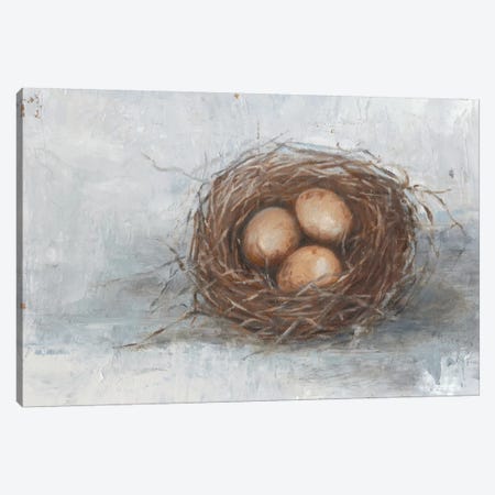 Rustic Bird Nest II Canvas Print #EHA323} by Ethan Harper Canvas Art Print