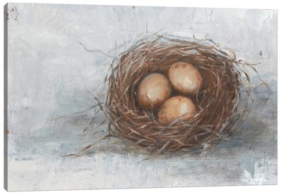 Rustic Bird Nest II Canvas Art Print - Nests
