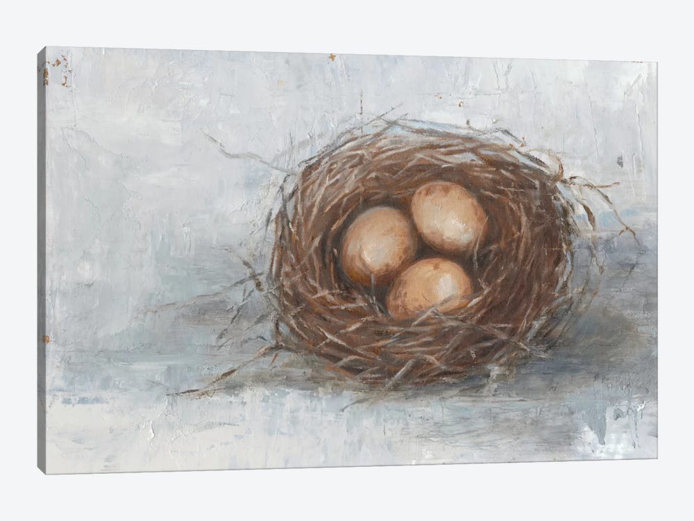 Rustic Bird Nest II by Ethan Harper 1-piece Canvas Artwork