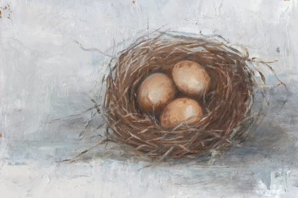 Modern Farmhouse Décor: Rustic Bird Nest II by Ethan Harper