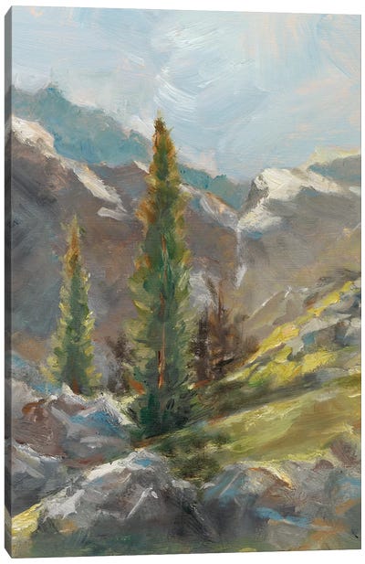 Rocky Hillside I Canvas Art Print - Rocky Mountain Art