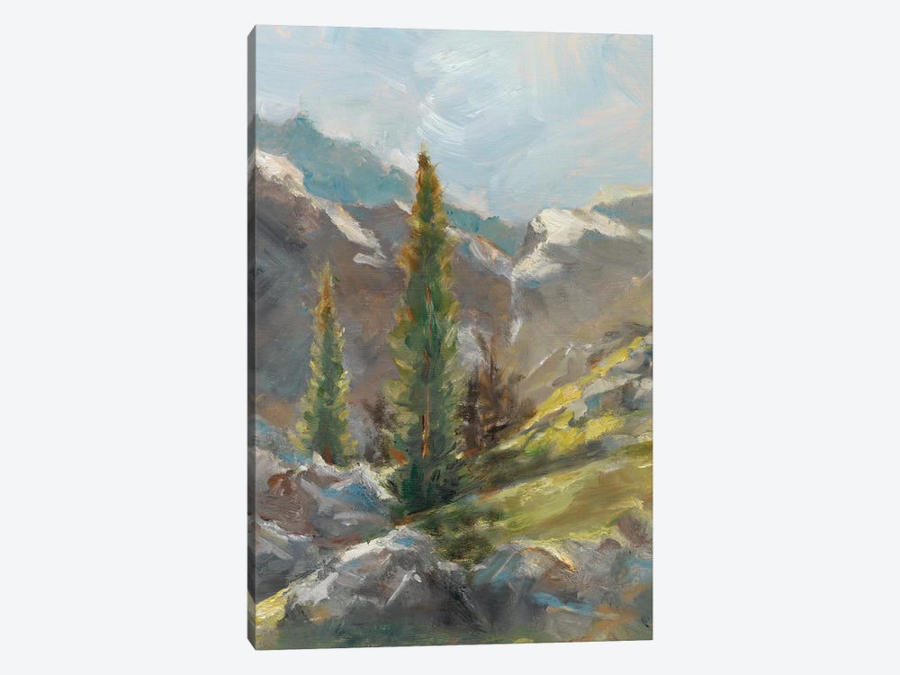 Rocky Hillside I by Ethan Harper 1-piece Canvas Art Print