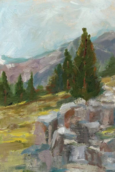 Rocky Hillside II by Ethan Harper gallery poster