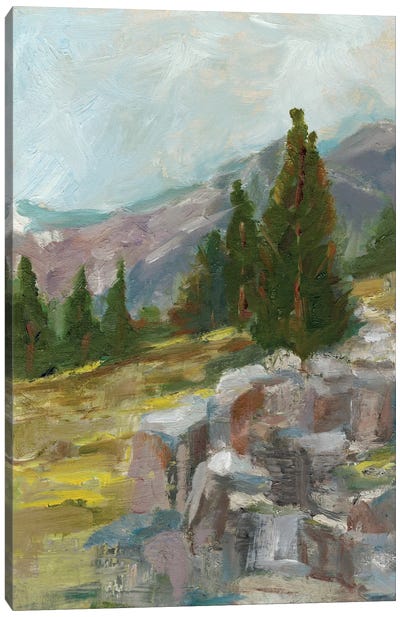 Rocky Hillside II Canvas Art Print - Rocky Mountain Art