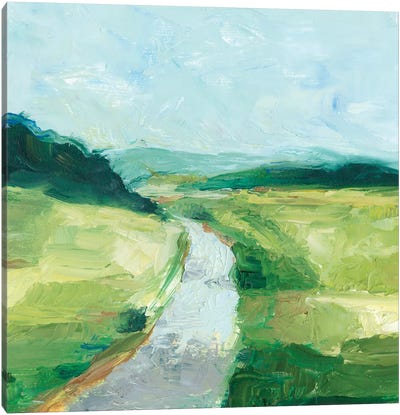 Rural Path II Canvas Art Print - Blue & Green Art