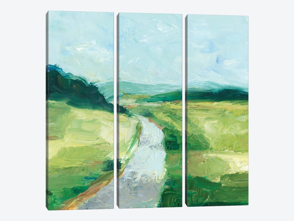 Rural Path II by Ethan Harper 3-piece Canvas Art